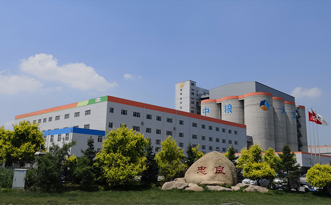 中糧糧谷安陽(yáng)新建加工項(xiàng)目